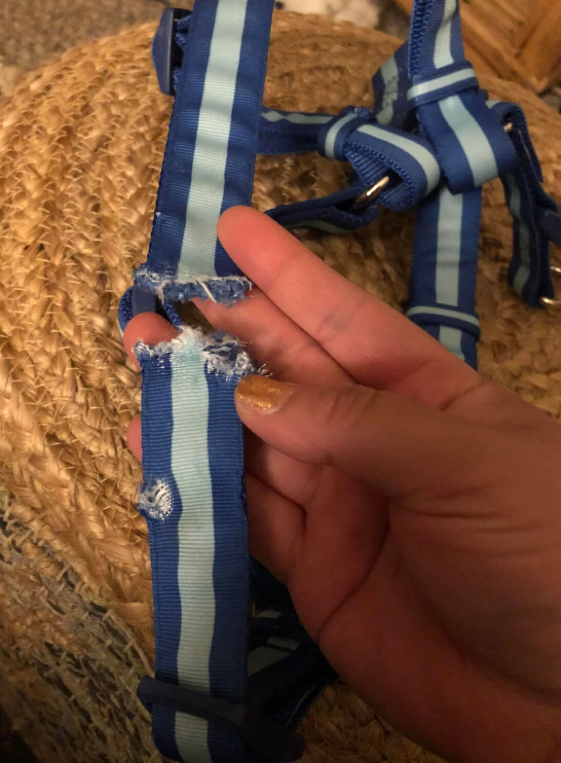 Vấn đề chất liệu