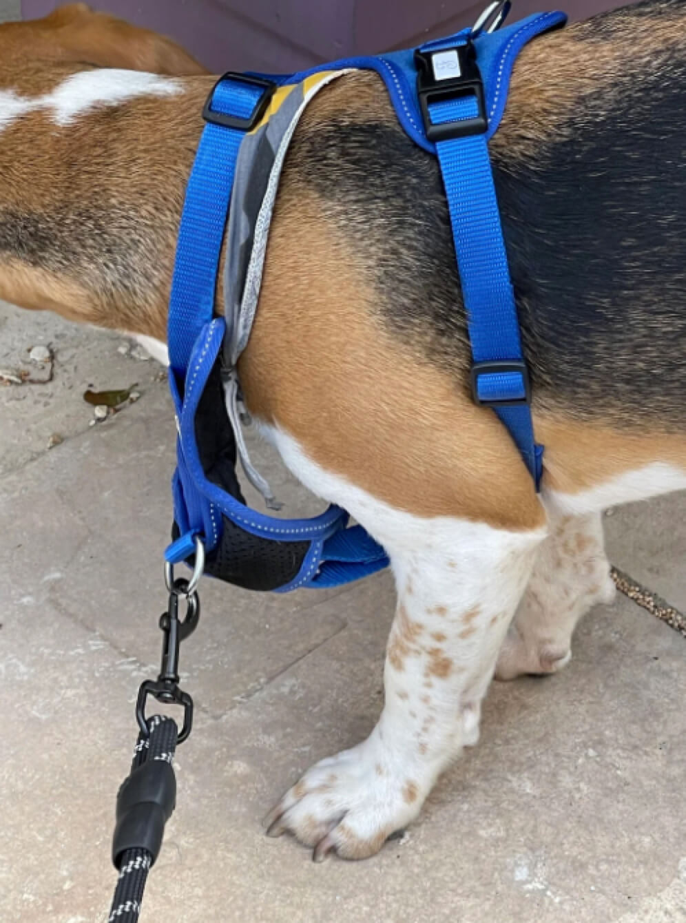 Vấn đề kích thước