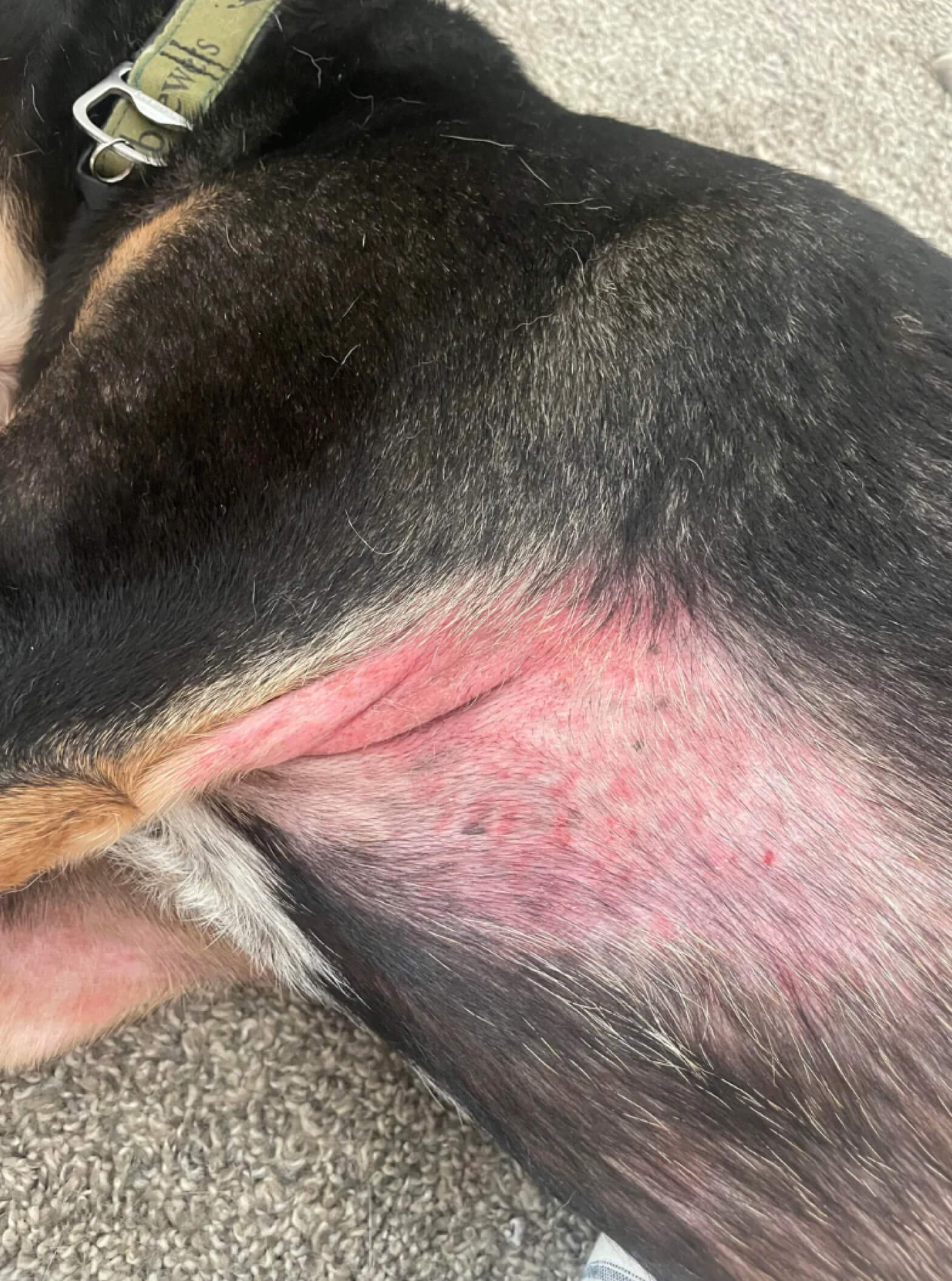 Vấn đề kích thước