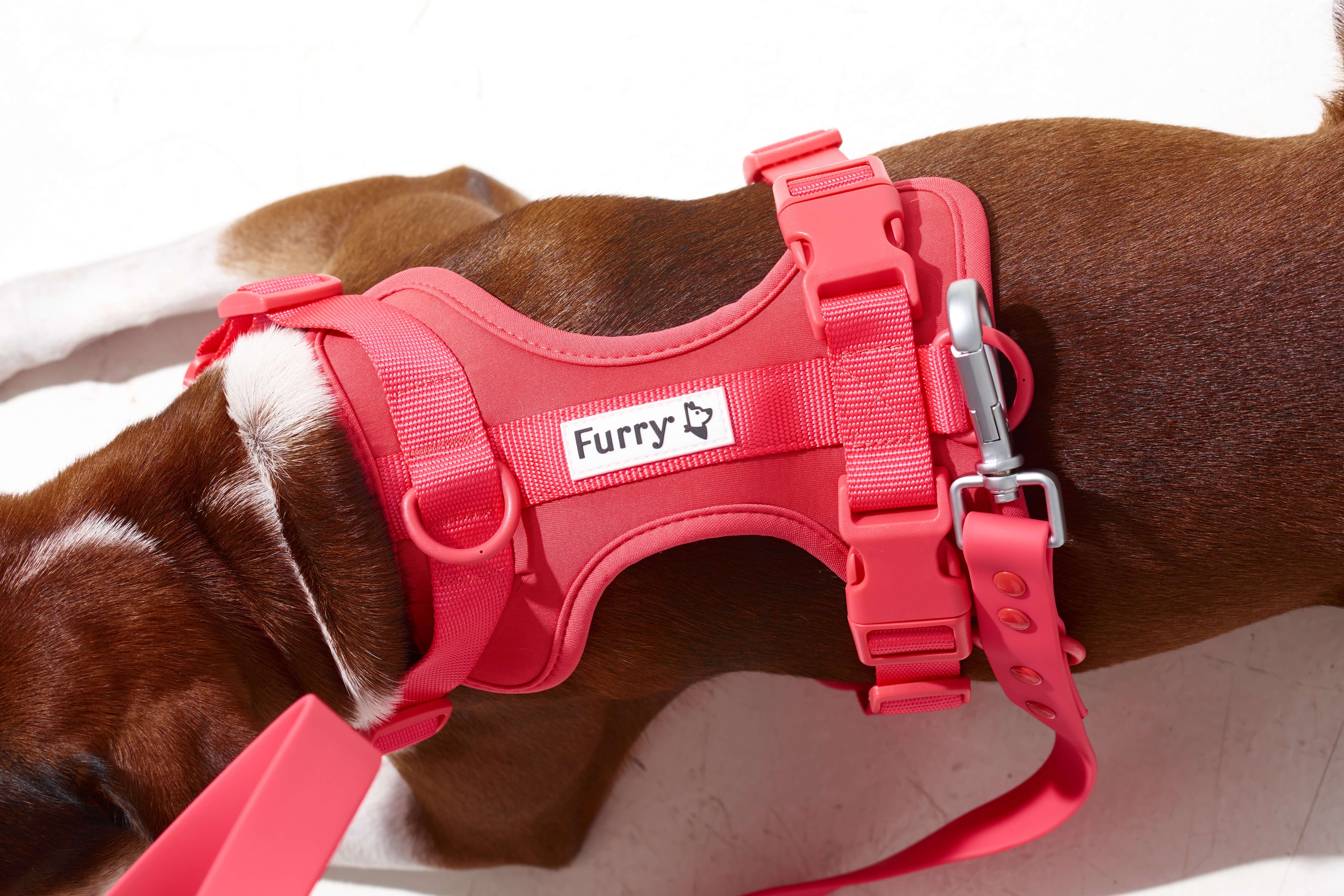 Kiểm soát tối đa