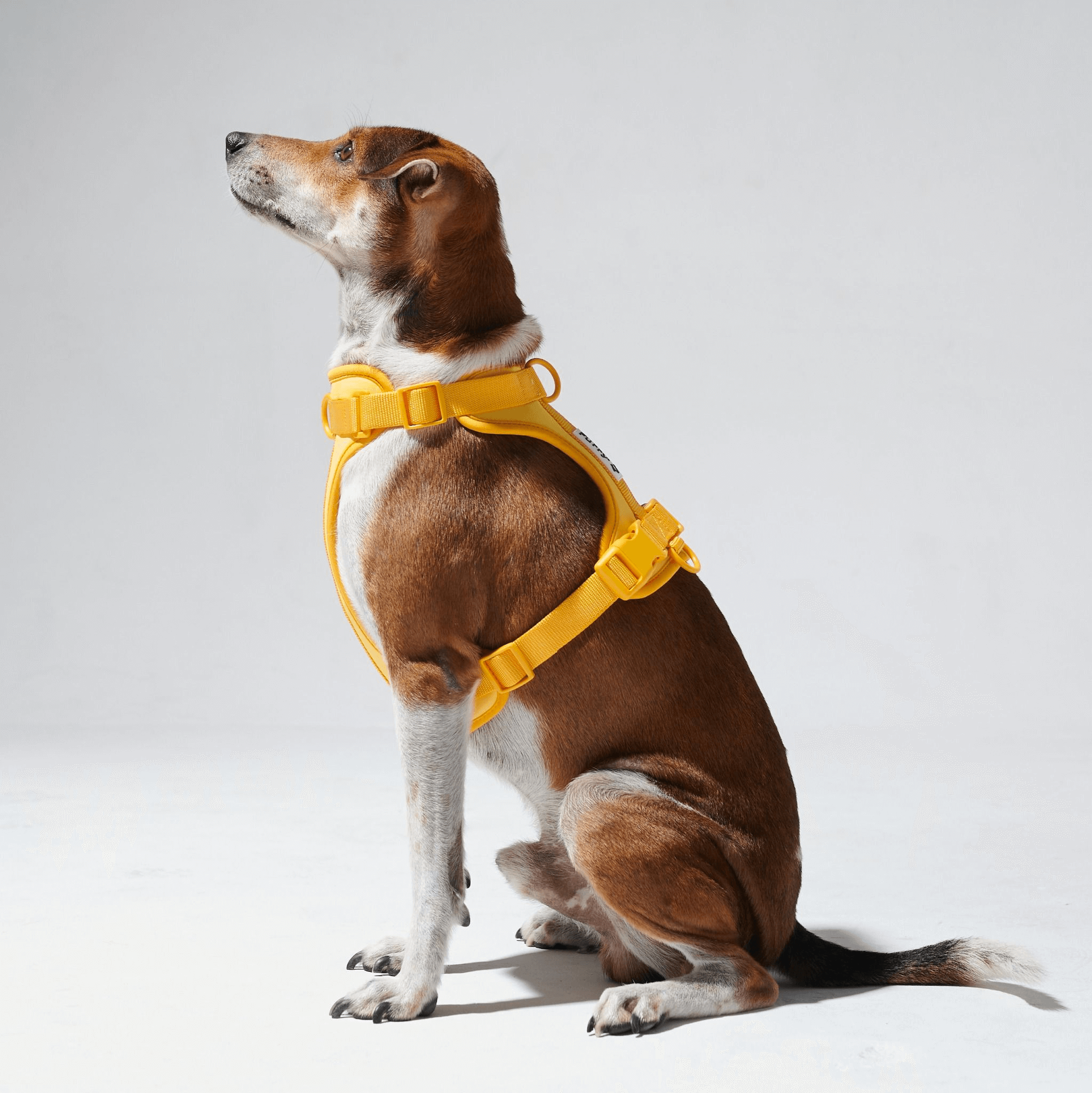 Sự phù hợp hoàn hảo