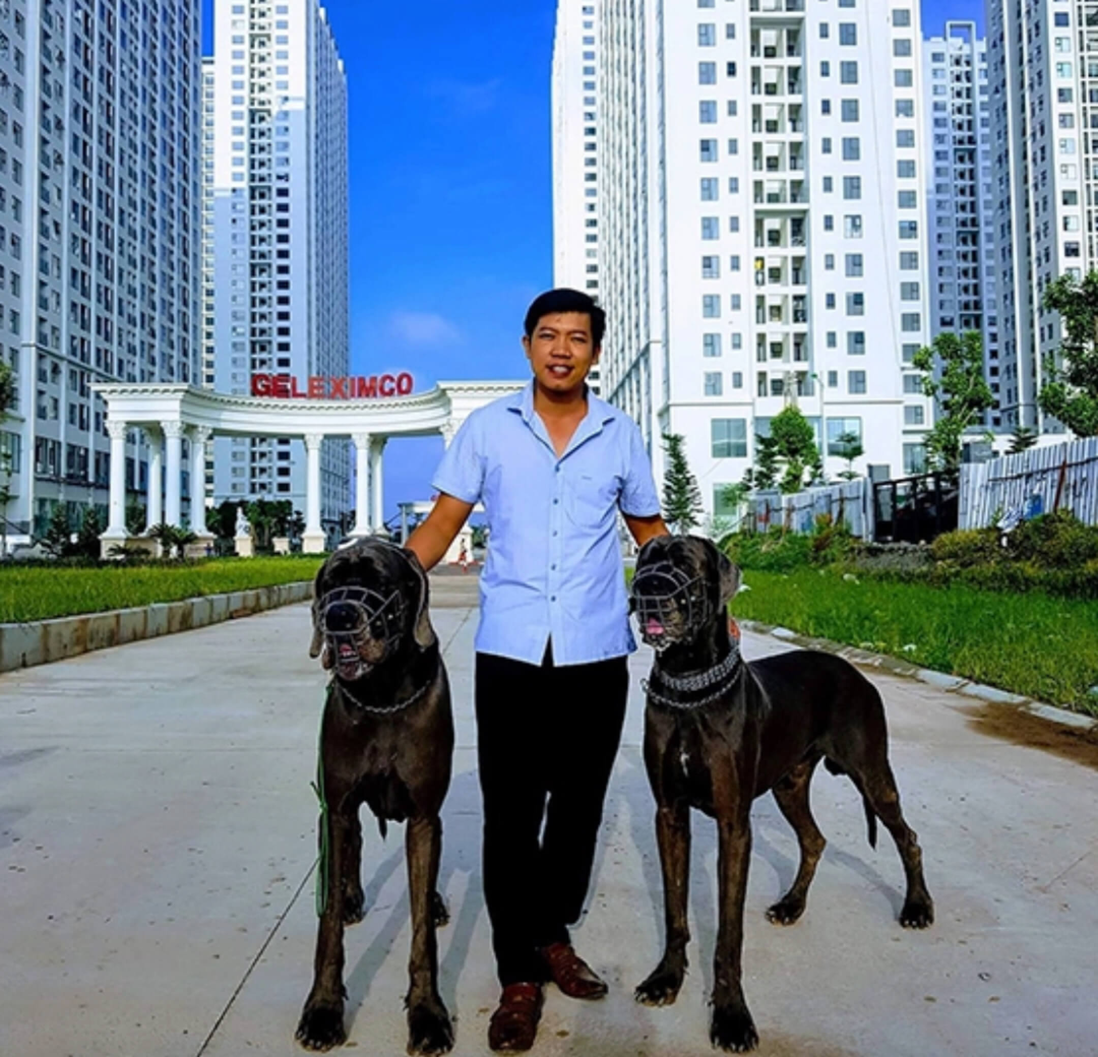 Image Slide Minh Toàn